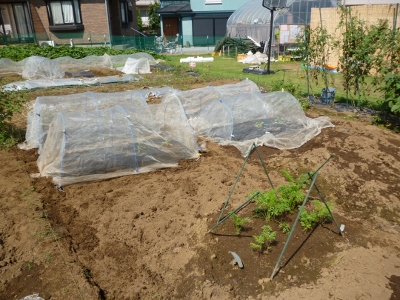 023 (400x300).jpg